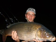 Kliknutím fotografii zvětšíte kapr 85cm