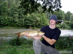 barbel(58) Ohře