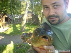 Kliknutím fotografii zvětšíte Mazlíček 87cm,12kg a hlavně vrácen vodě
