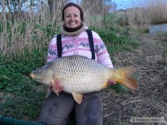 Kliknutím fotografii zvětšíte kapr 90 cm 17. 5 kg