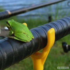 Kliknutím fotografii zvětšíte čakanie na záber