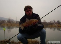 Kliknutím fotografii zvětšíte lien na feeder