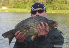 Kliknutím fotografii zvětšíte kaprik na feeder z kvetna
