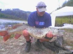 Kliknutím fotografii zvětšíte Štička-114