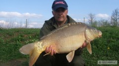 Kliknutím fotografii zvětšíte kapor obecný-lysec 79 cm - 11,30 kg