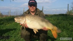 Kliknutím fotografii zvětšíte kapor obecný 88 cm - 10,85 kg