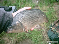 Kliknutím fotografii zvětšíte Kapřík zrůbek