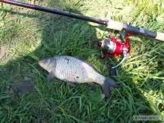 Kliknutím fotografii zvětšíte kapřík na feeder