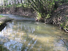 Kliknutím fotografii zvětšíte pstruhovka č.1