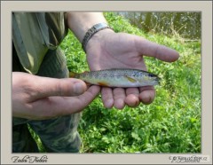 Kliknutím fotografii zvětšíte Zadní Třebáň 27.4.2008