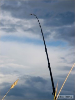 Kliknutím fotografii zvětšíte Podvečer