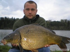 Kliknutím fotografii zvětšíte Kapr 62cm