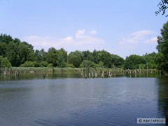 Kliknutím fotografii zvětšíte Hvězdov