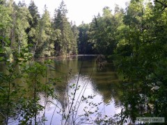 Kliknutím fotografii zvětšíte Devinsky rybnik
