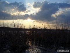 Kliknutím fotografii zvětšíte D 7