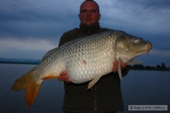 Kliknutím fotografii zvětšíte Adacs, máj 2008 Medveď