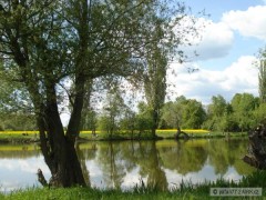 Legr�k 