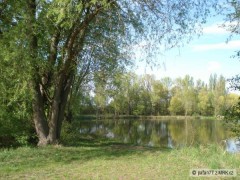 411 118 LABE 24 E - Jezero Ostrov (2,5 ha)