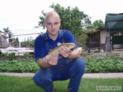 Sumeček 34cm - 0,58kg
