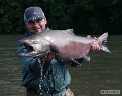 Kliknutím fotografii zvětšíte Losos Královský 16kg