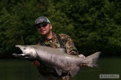 Kliknutím fotografii zvětšíte Losos Královský 17kg