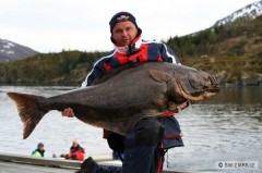 Kliknutím fotografii zvětšíte Halibut 145cm 43kg