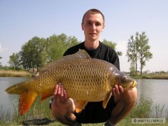 Kliknutím fotografii zvětšíte kapr Slovensko 07
