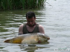 Palotas 2008, 17,5Kg