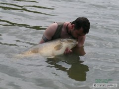 Palotas 2008, 17,5Kg