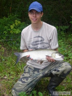 Bolen 66cm