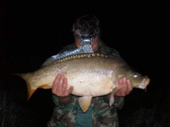 Kliknutím fotografii zvětšíte kapr 75 cm 9 kg