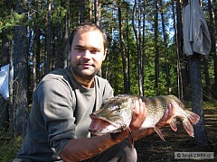 Kliknutím fotografii zvětšíte štika 82 cm