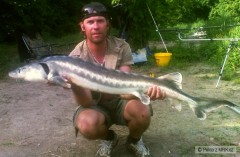Kliknutím fotografii zvětšíte Jeseter 126 cm