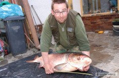 Kliknutím fotografii zvětšíte Tolstolobik 132,5 cm a 31,5 kg