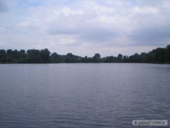 Kliknutím fotografii zvětšíte veselá (písák)