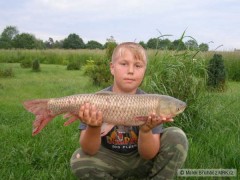 Kliknutím fotografii zvětšíte amur 63cm