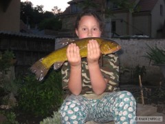 Kliknutím fotografii zvětšíte lín 45cm