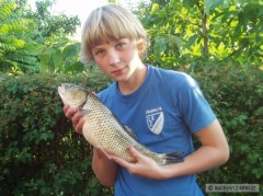 tlou�� 51cm