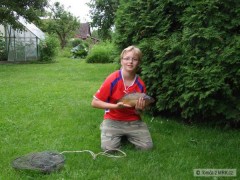 Kliknutím fotografii zvětšíte Kapr 45 cm