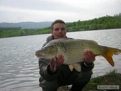 Kliknutím fotografii zvětšíte Super kaprik 11,49kg