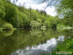 Kliknutím fotografii zvětšíte S6