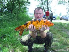 Kliknutím fotografii zvětšíte závody 2008 Skalky