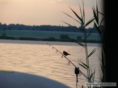 Kliknutím fotografii zvětšíte pohoda