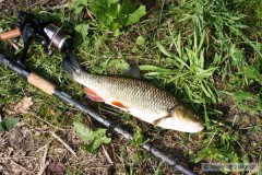 Tlou��  37 cm na ���alku