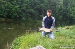 Kliknutím fotografii zvětšíte amur 70 cm a hned zpět do vody