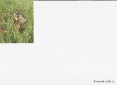 Kliknutím fotografii zvětšíte fotky z naší přírody