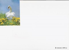 Kliknutím fotografii zvětšíte fotky z naší přírody