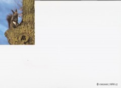 Kliknutím fotografii zvětšíte fotky z naší přírody