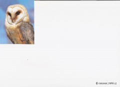 Kliknutím fotografii zvětšíte fotky z naší přírody