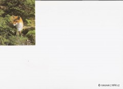 Kliknutím fotografii zvětšíte fotky z naší přírody